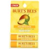 Burt's Bees Lip Balm, Mango Butter, 2-pack